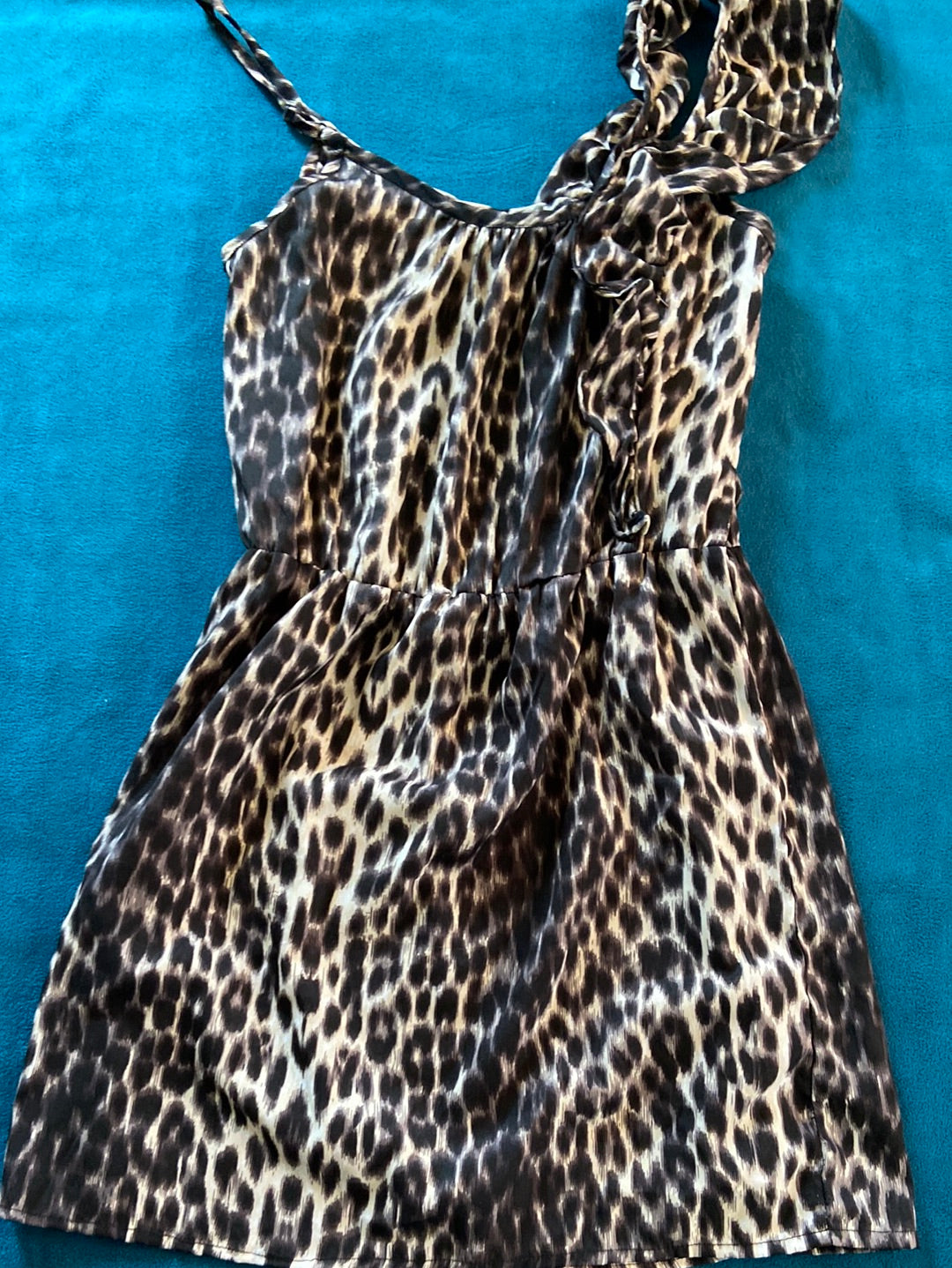 ANIMAL PRINT Envy Me Size L